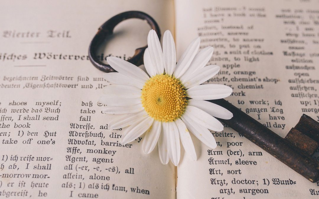 Ogni storia merita un lieto fine