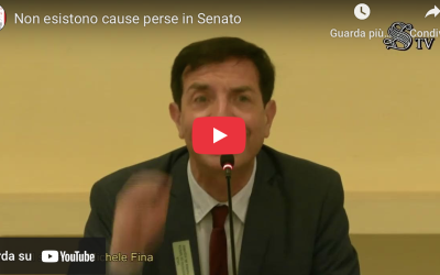 Non esistono cause perse in Senato. Il video della conferenza stampa