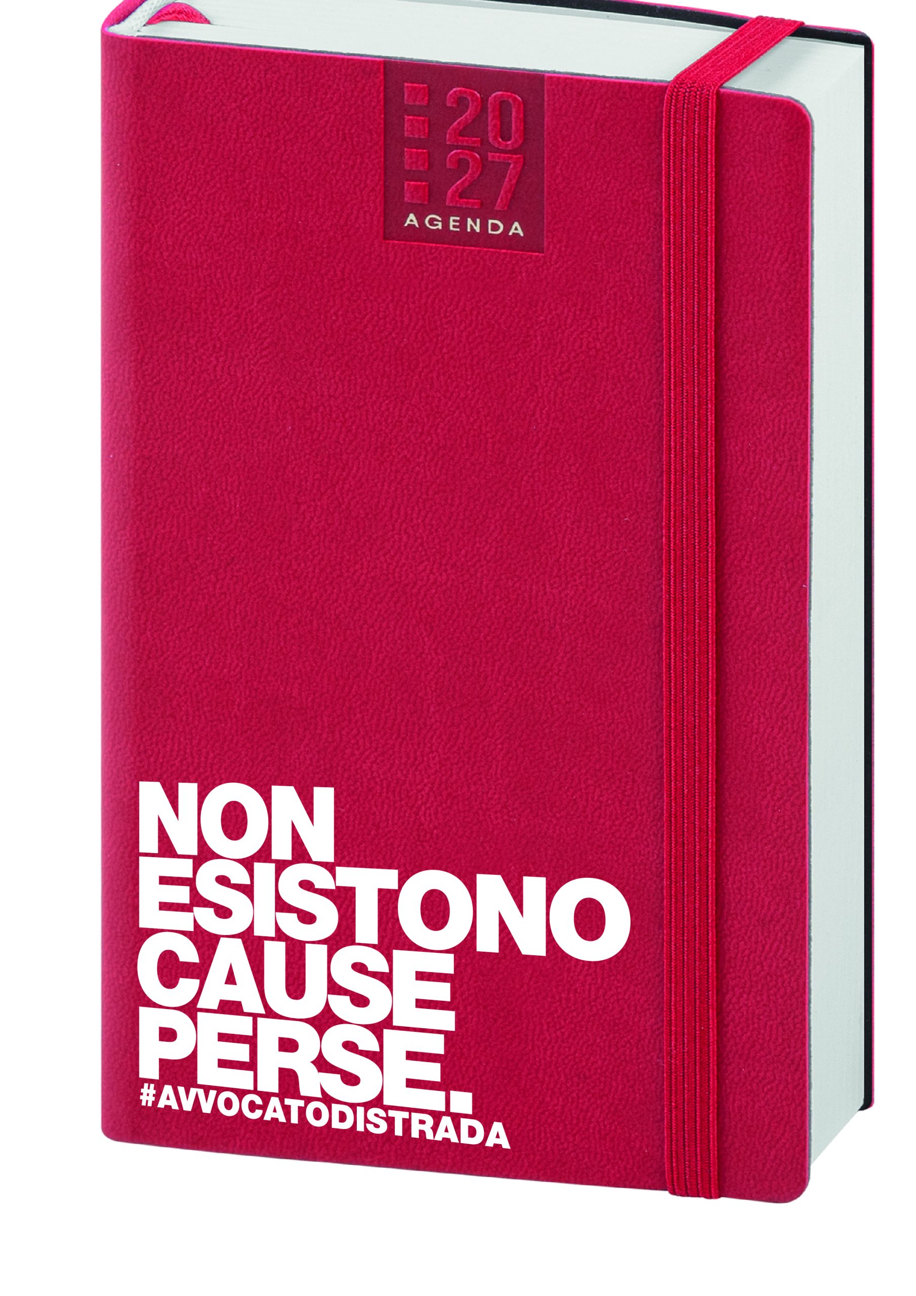Agenda 2027 "Non esistono cause perse" - immagine 4