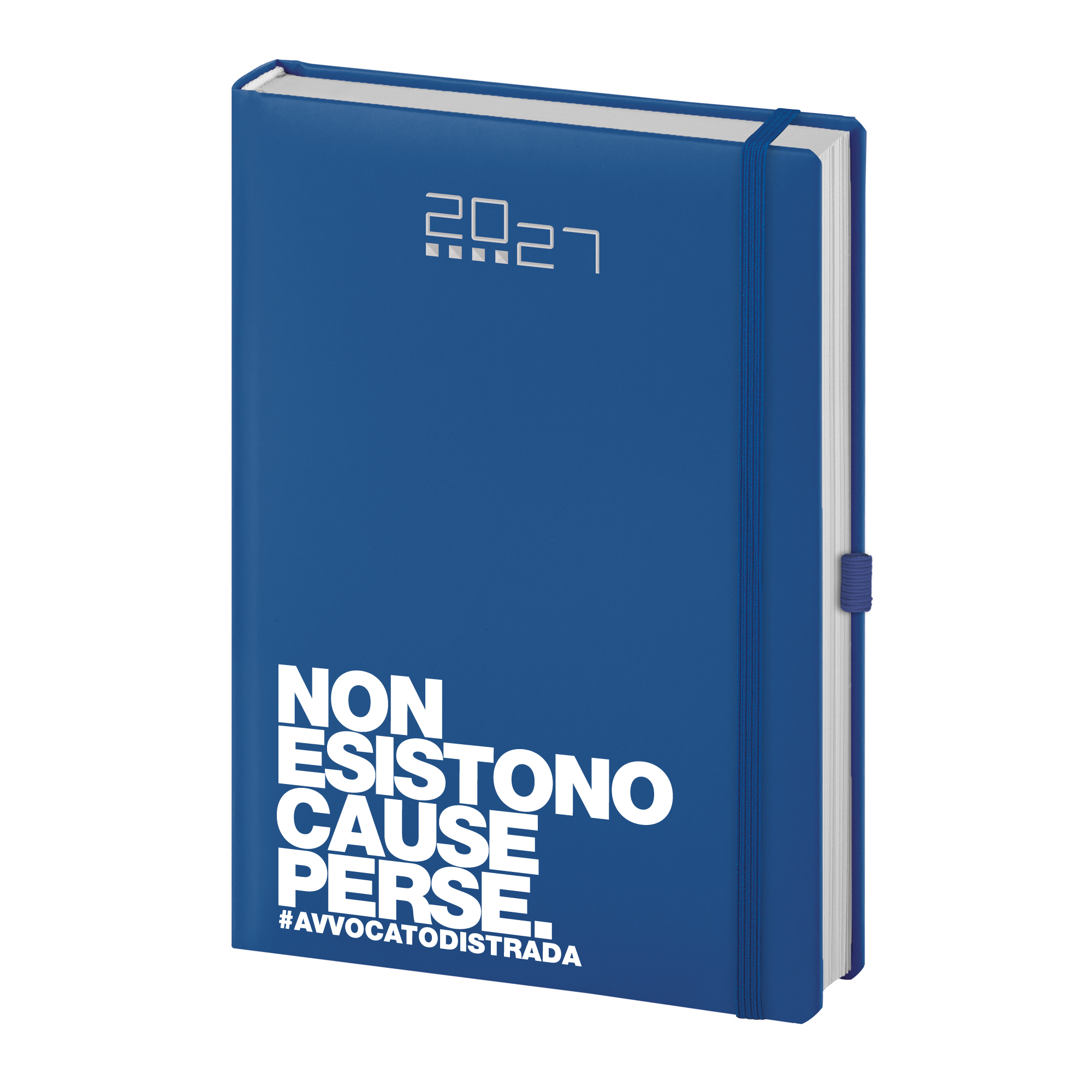Agenda 2027 "Non esistono cause perse" - immagine 3